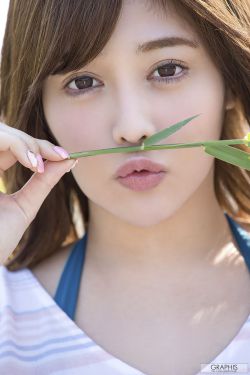 苍兰诀 电视剧在线观看